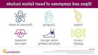 Signs and symptoms of heart failure: fatigue, loss of appetite, shortness of breath, coughing, ankle, leg, abdomen swelling, increased heart rate.